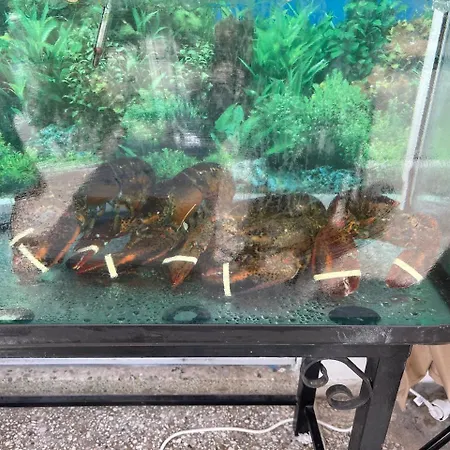 A Апартаменты Неа-Карвали