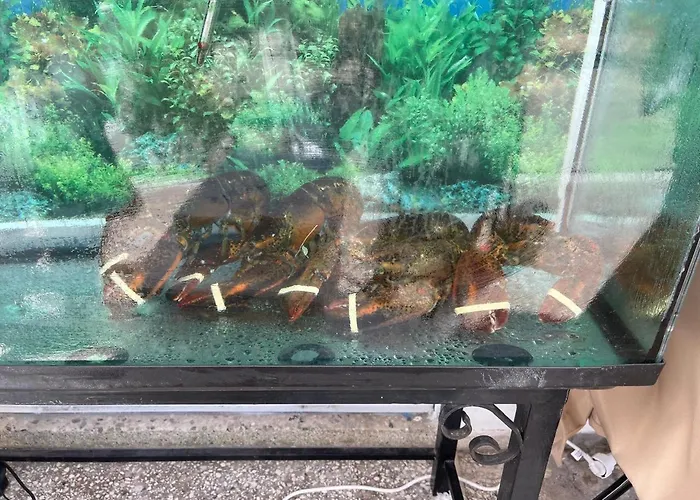 A Lägenhet Nea Karvali